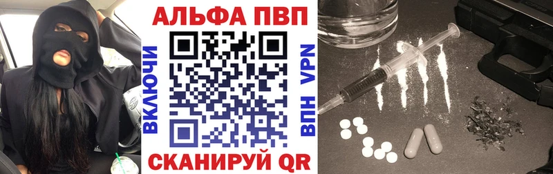 Альфа ПВП СК КРИС  Кингисепп 
