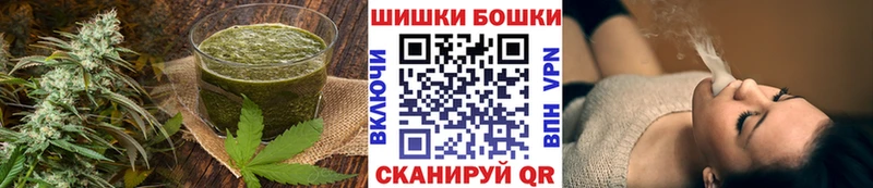 darknet какой сайт  OMG маркетплейс  Кингисепп  Canna-Cookies конопля 