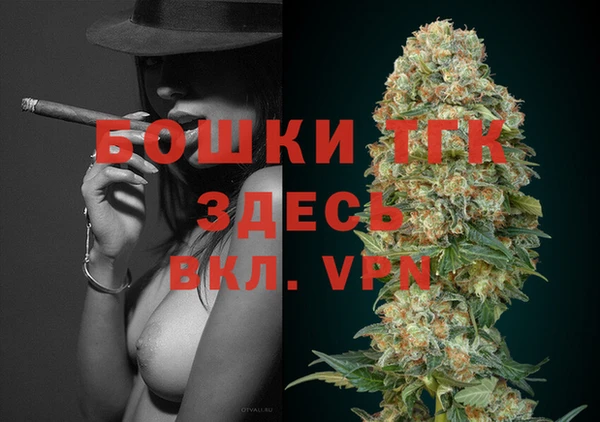 spice Богородицк
