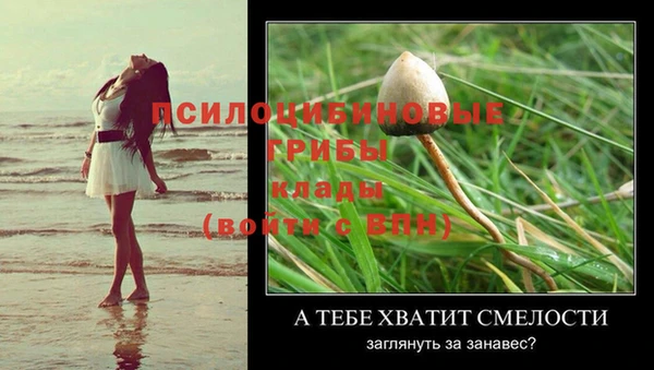 мяу мяу кристалл Богородск