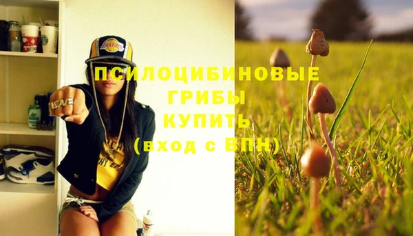 spice Богородицк