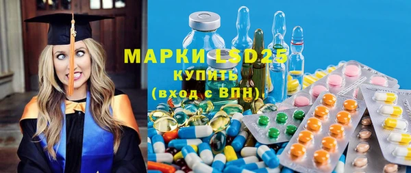 spice Богородицк