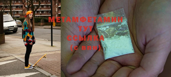 PSILOCYBIN Богданович