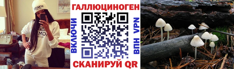 купить наркоту  Кингисепп  Псилоцибиновые грибы мицелий 