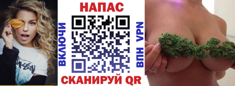 hydra   Кингисепп  МАРИХУАНА Ganja 